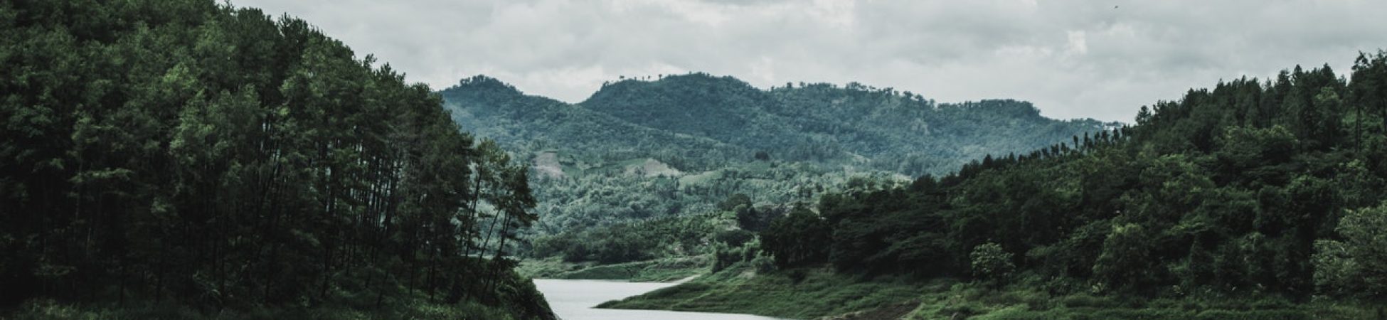 green grass field and mountain 1034887.jpg